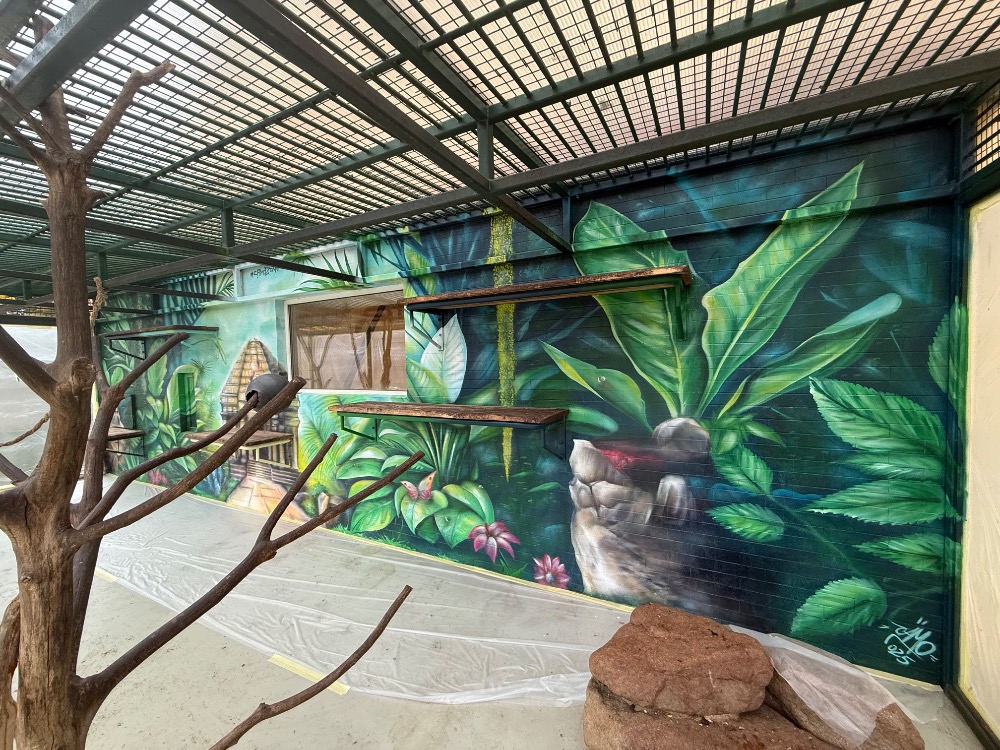 grafitti 2.jpg