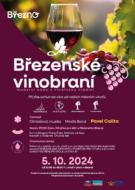 Březenecké vinobraní.jpeg