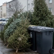 Náhled článku: Vánoce končí, začíná úklid: Ústí nad Labem zveřejnilo harmonogram svozu stromků