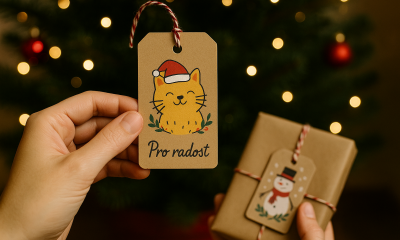 Náhled článku: Kaufland a Světluška letos vybraly 20 milionů. Vánoční sbírka znovu pomůže lidem se zrakovým postižením