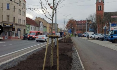Náhled článku: Teplice sází na budoucnost: Podzimní výsadba přinese do ulic a parků 139 nových stromů