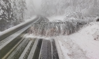 Náhled článku: Silný vítr zaměstnal hasiče na severu Čech, stromy padaly hlavně na Chomutovsku