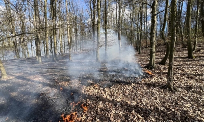 Náhled článku: Požár lesa u Valtířova zaměstnal jedenáct jednotek hasičů. Pomohl i vrtulník