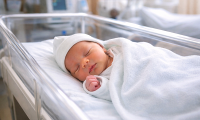 Náhled článku: Porodnice v Děčíně se na týden uzavře kvůli stěhování