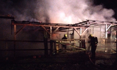 Náhled článku: Požár stájí v Ciboušově: Hasiči zachránili sedmnáct koní, jeden uhynul