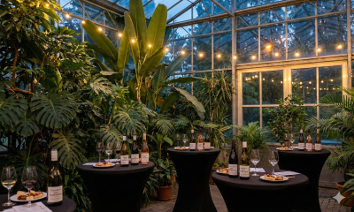 Náhled článku: Botanická zahrada v Teplicích připravuje valentýnskou degustaci vín