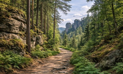 Náhled článku: Hřensko a Schmilku propojila nová stezka, turisty odvede z nebezpečné silnice