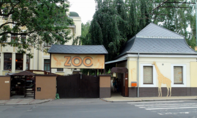 Náhled článku: Ústecká zoo získala téměř 12 milionů na rozvoj. Pomohou s nákupem nového zoovláčku
