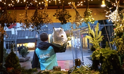 Náhled článku: Kurýrní služby rozšiřují před Vánocemi sortiment. Aplikace nově doveze i živou jedli