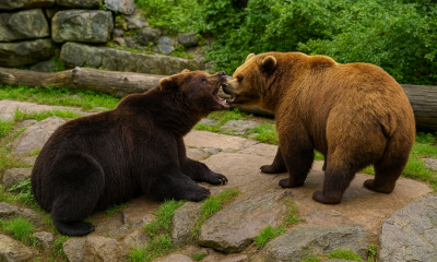 Náhled článku: Téměř 133 tisíc návštěvníků. Zoo Děčín má za sebou jednu z nejúspěšnějších sezón
