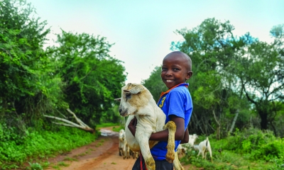 Náhled článku: Vánoce jinak: Češi nakupují kozy nebo slepice pro rodiny v Africe