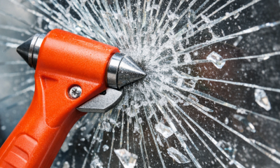 Náhled článku: Litoměřičtí policisté objasnili poškození vlakové soupravy. Ženě hrozí až rok vězení