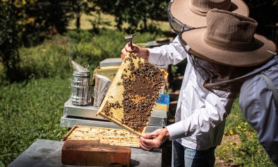 Náhled článku: Proč jsou Češi ochotni platit víc za jídlo, když jinak loví slevy