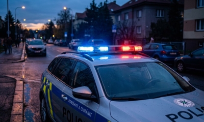 Náhled článku: Opilý cizinec kličkoval Chomutovem. Policisty chtěl uplatit dvanácti sty korunami