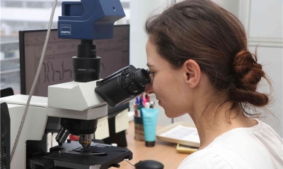 Náhled článku: Genetika v Ústí nad Labem slaví 45 let. Pomáhá rodinám hledat odpovědi i klid