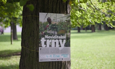Náhled článku: Keňa: Dělníci na květinových farmách pracují za 2000 Kč měsíčně. Nová výstava odhaluje "neviditelné trny"