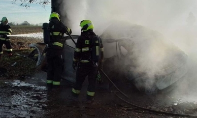 Náhled článku: Tragická nehoda u Střížovic: V ohořelém vraku vozu nalezli hasiči tělo