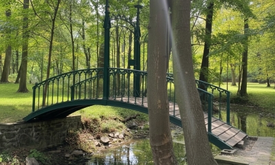 Náhled článku: Teplický „Love Island“ ožívá: Ostrůvek v Zámecké zahradě se na jaře otevře lidem, psi mají vstup zakázán