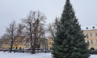 Náhled článku: Litoměřice už mají vánoční strom. Dvanáctimetrovou jedli nyní čeká zdobení, rozsvítí se v neděli
