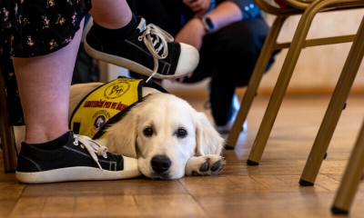 Náhled článku: Čas na ocenění psích hrdinů se krátí, nominace do ankety Statečné psí srdce končí v dubnu