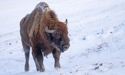 Náhled článku: Chomutovský zoopark má nového šéfa. Změny pocítí návštěvníci už v zimě