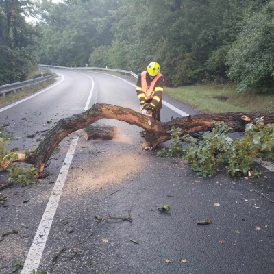 Náhled článku mobil: Silné deště a popadané stromy zaměstnaly hasiče v Ústeckém kraji