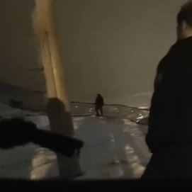 Náhled článku mobil: Drama na Pastýřské stěně se šťastným koncem: Policisté zachránili muže v hluboké krizi