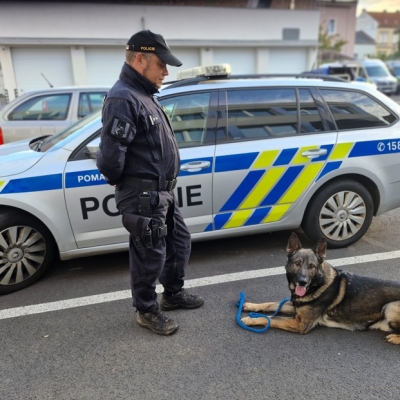 Náhled článku mobil: Kbelíky, disk a barvy: Zloději si přišli pro stavební lup, skončili v poutech