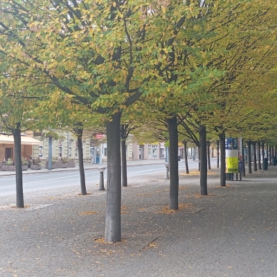 Náhled článku mobil: Obyvatelé Ústí rozhodnou o investicích za téměř dva miliony. Vybírají z pěti projektů pro lepší město