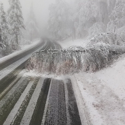 Náhled článku mobil: Silný vítr zaměstnal hasiče na severu Čech, stromy padaly hlavně na Chomutovsku