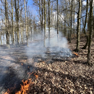Náhled článku mobil: Požár lesa u Valtířova zaměstnal jedenáct jednotek hasičů. Pomohl i vrtulník