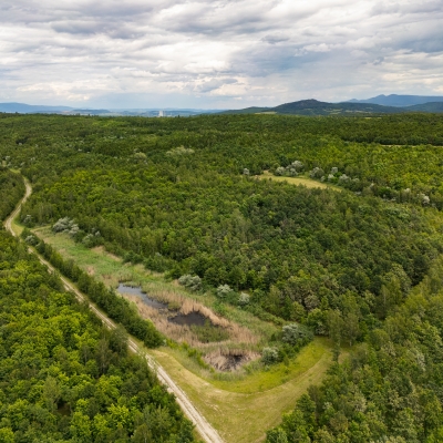Náhled článku mobil: Ptačí park Střimická výsypka roste. S podporou Nadace ORLEN Unipetrol