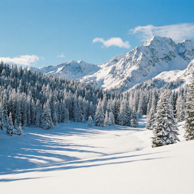 Náhled článku mobil: Na hory se vrací pravá zima. Přelom roku přinese sněžení i silné mrazy