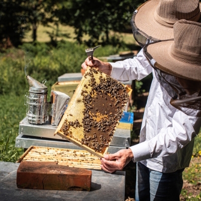 Náhled článku mobil: Proč jsou Češi ochotni platit víc za jídlo, když jinak loví slevy
