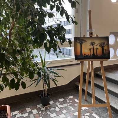 Náhled článku mobil: Ústecký magistrát ožil fotografiemi, výstava láká na krásy domova i dálky