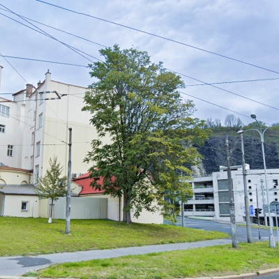 Náhled článku mobil: Ústí nad Labem kácí zdánlivě zdravé stromy. Brání se tak nekontrolovatelnému šíření pajasanu
