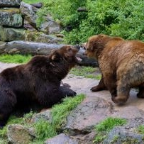 Náhled článku mobil: Téměř 133 tisíc návštěvníků. Zoo Děčín má za sebou jednu z nejúspěšnějších sezón