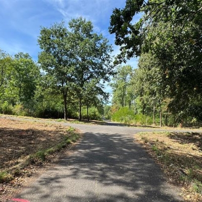 Náhled článku mobil: Park Hrabák v Mostě se dočká proměny, začne instalací nové brány a piknikovými stoly