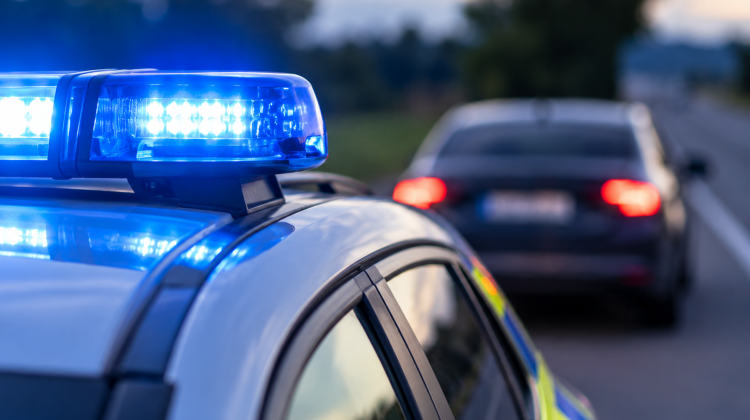 Náhled článku: Zastavil auto a utekl. Policisté ale přesně věděli, koho hledají