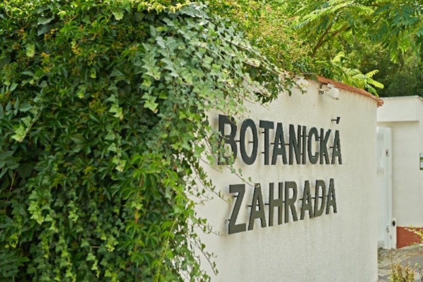 Profil firmy Botanická zahrada Teplice